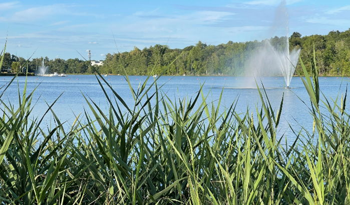 Scenic view of Orange Reservoir with fountains spraying water, surrounded by tall grasses in foreground and wooded shoreline in background